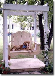 Picture of a dog sitting in an arbor swing