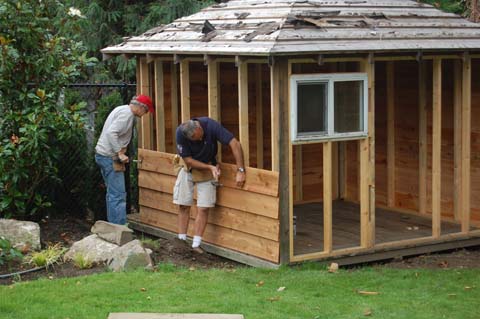 Building wood garden shed from a set of plans, that's me on the left.