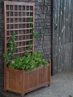 Planter box with an attached trellis - perfect for climbing vines