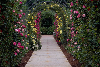 Woodworking rose pergola plans PDF Free Download