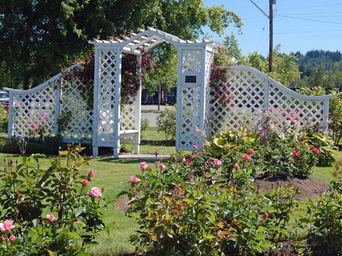 White arbor with bench and trellis is the perfect entry way into the rose garden