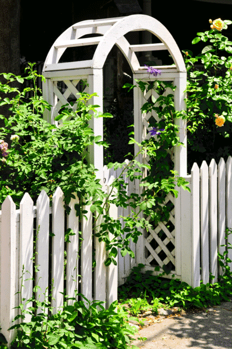 Painted white wood arbor with a gate