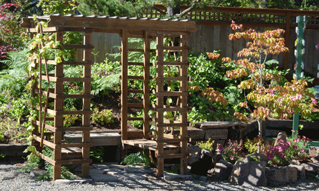 Wood arbor with trellis on side and top to train grapes